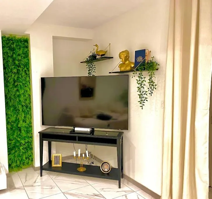 Apartment Toulouse Vaste Appartement Tres Lumineux